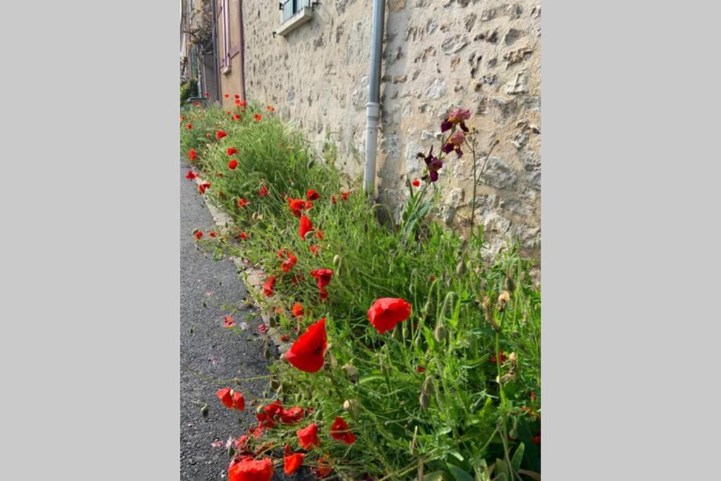 Le Clos De L'Eglise - Blanche ジヴェルニー エクステリア 写真